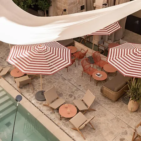 Nobis Palma, A Member Of Design Palma